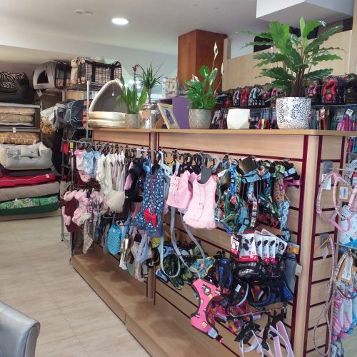 070f1bbf-d407-4f16-8070-2f9602c23eaa