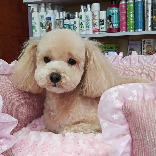 159422426_3941829329214896_5853721176047653390_n