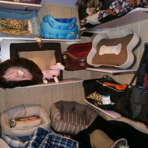 54225_438499549547909_1824863982_o