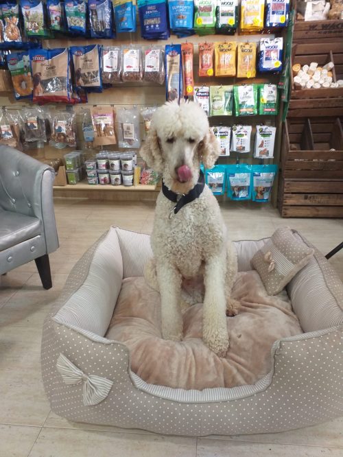 9a04b968-b2ad-457d-ad6b-e1b0ddf275ff