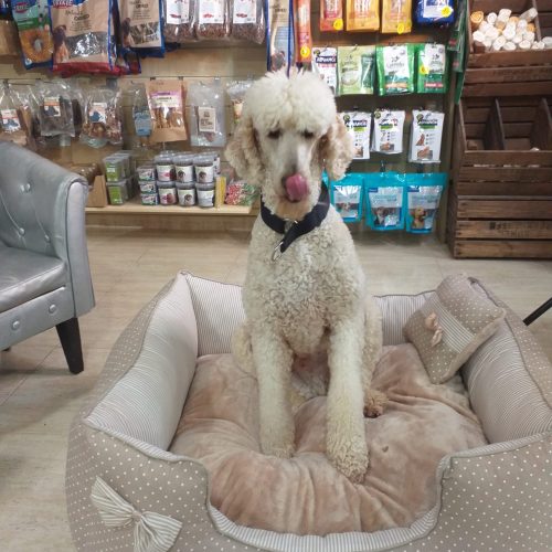 9a04b968-b2ad-457d-ad6b-e1b0ddf275ff